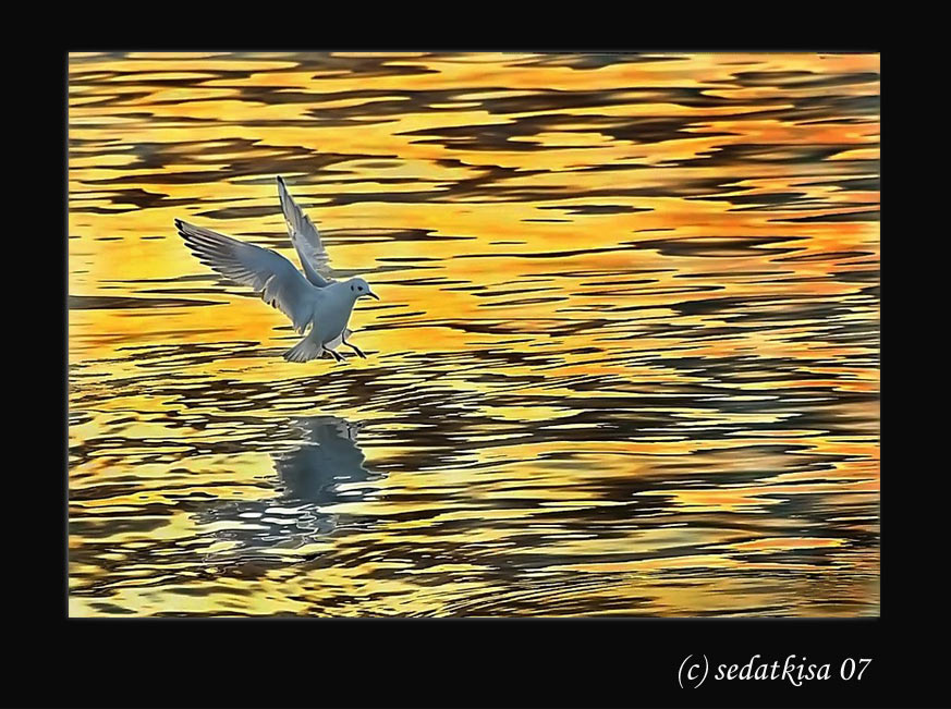 Landing to the burning Sea 