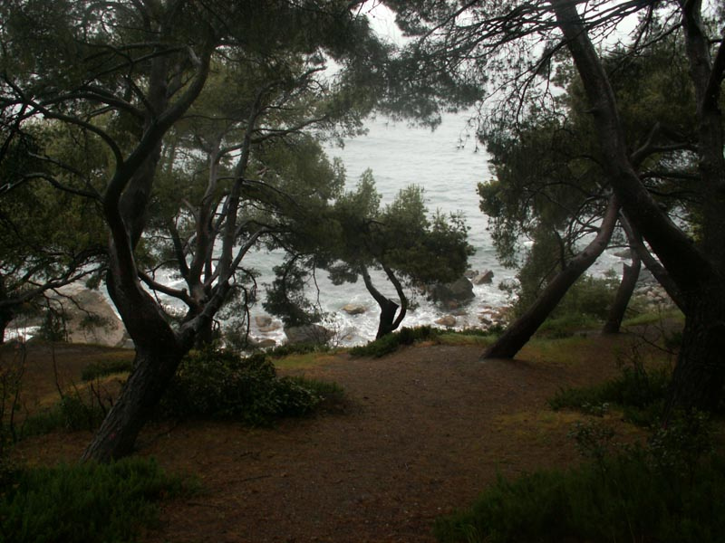море море, воронцовский парк