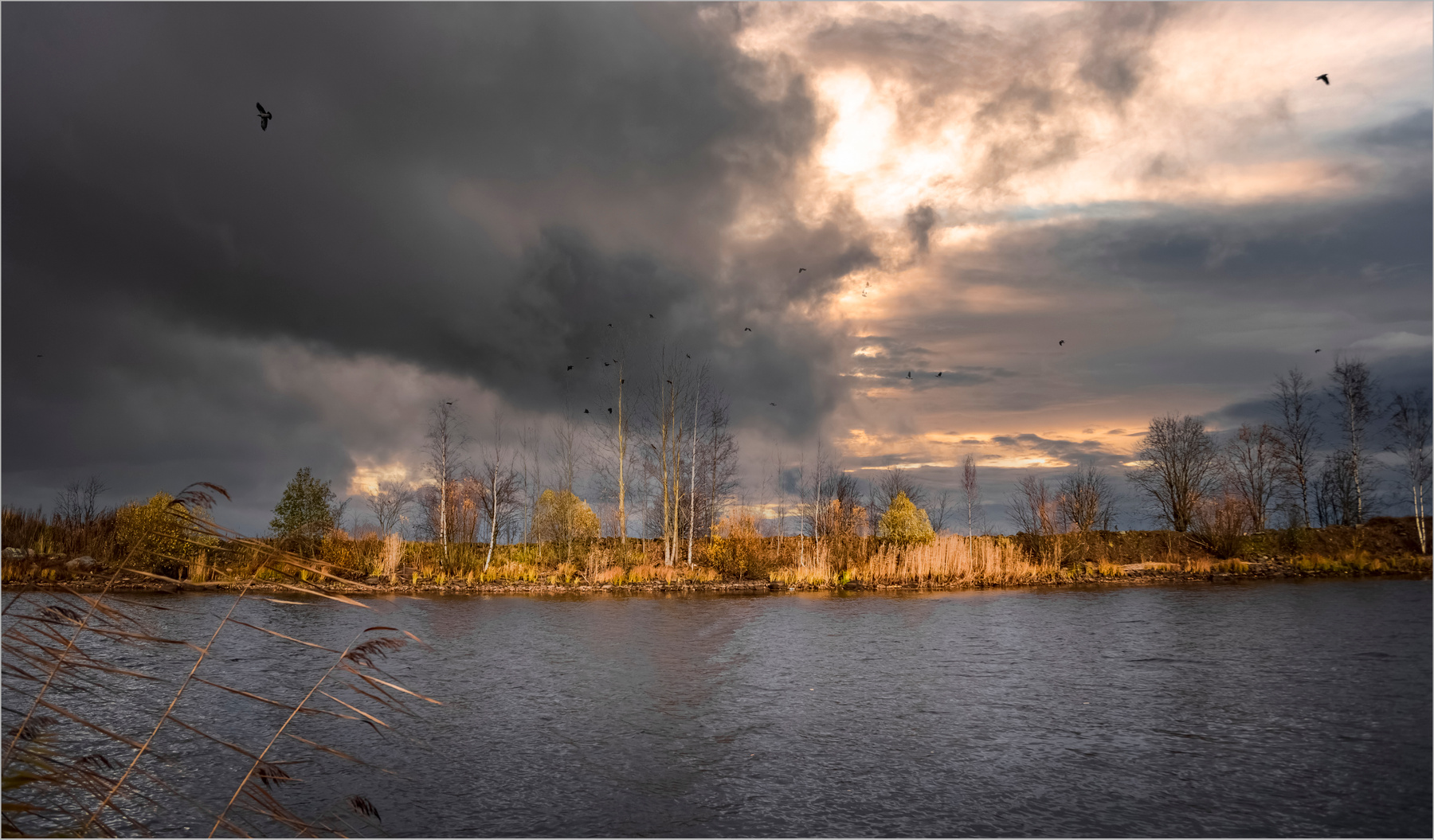 Питерская осень природа