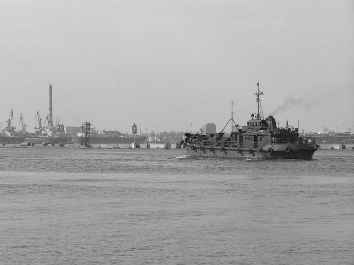 Ласточка буксирчик, море, Морпорт