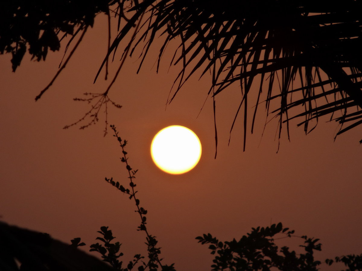 Закат India