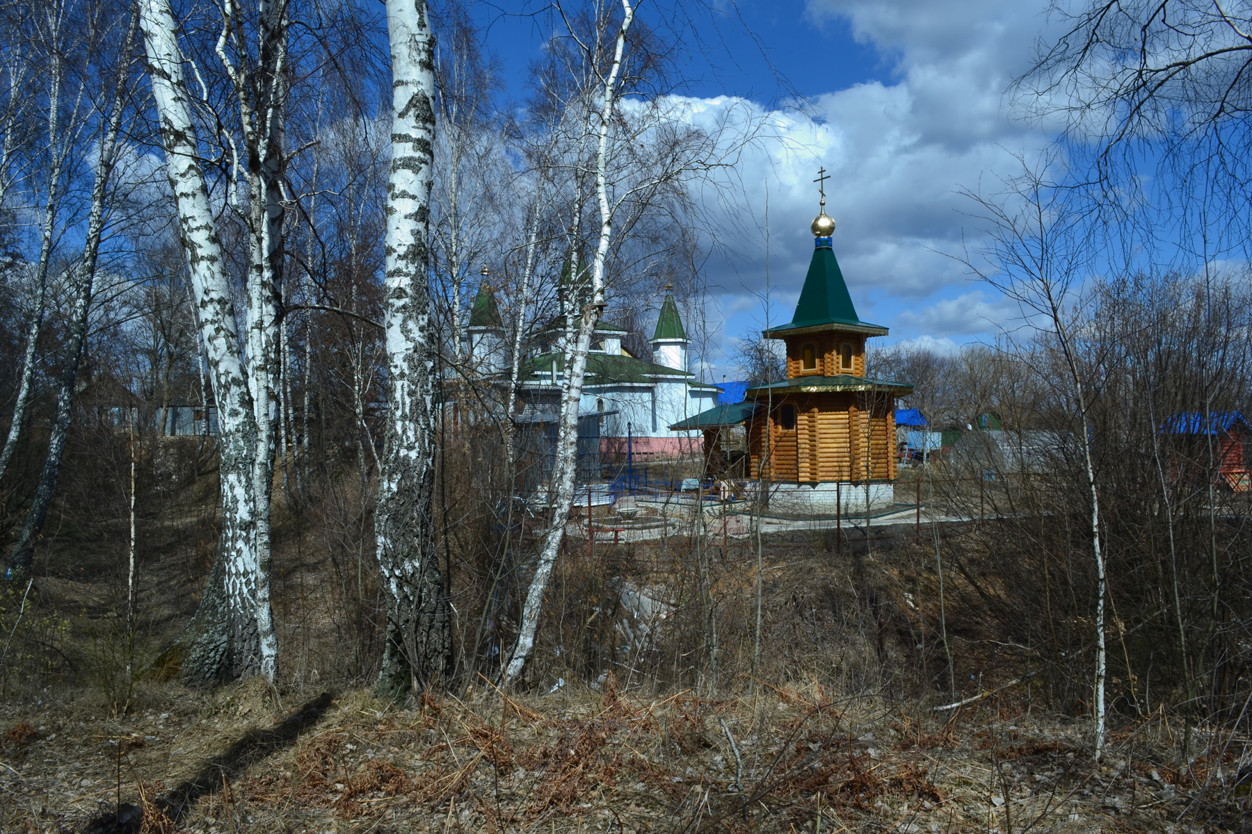 В    окресностях     монастыря . ВЕСНА БЕРЕЗЫ МОНАСТЫРЬ