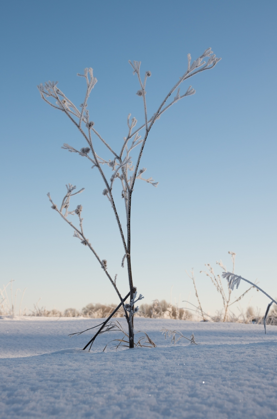 * 