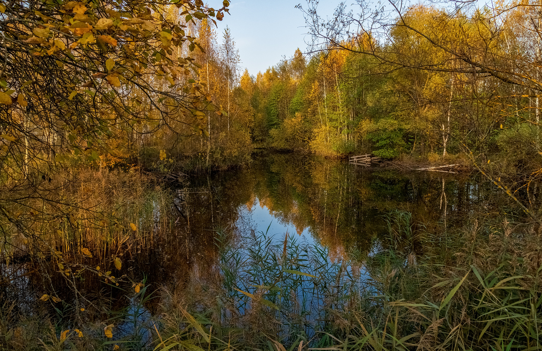 Осенний вечер 2 