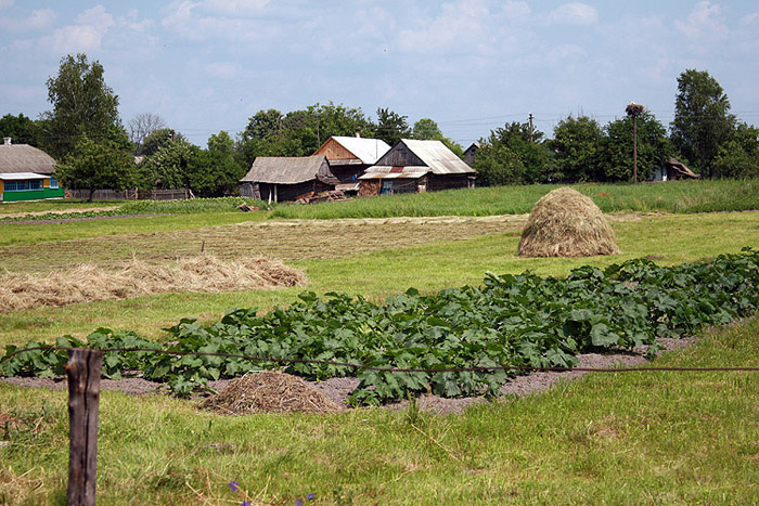 Село на Волыни Украина