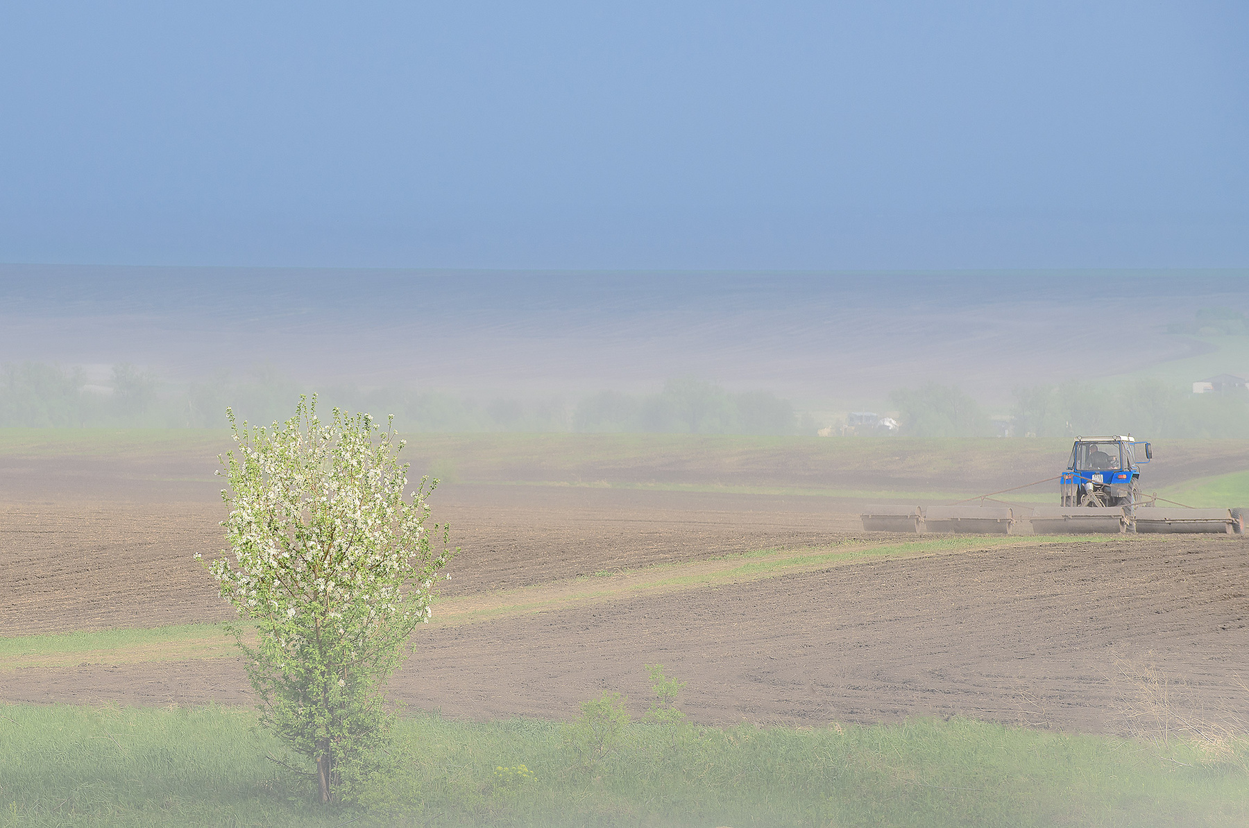 Дымка... весна май село посевная