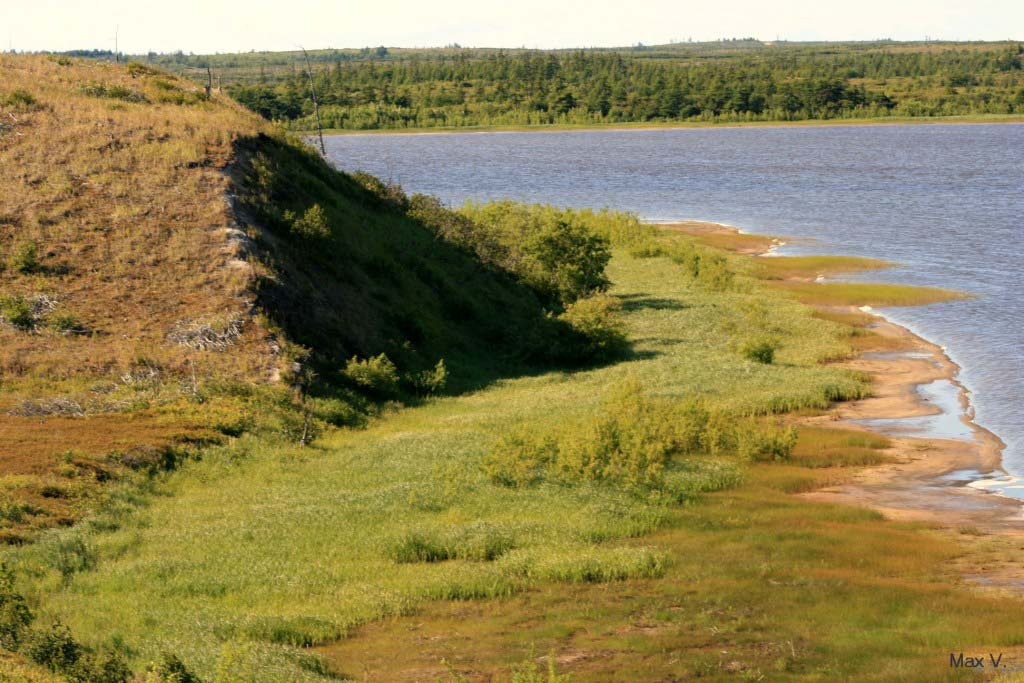 Берег 