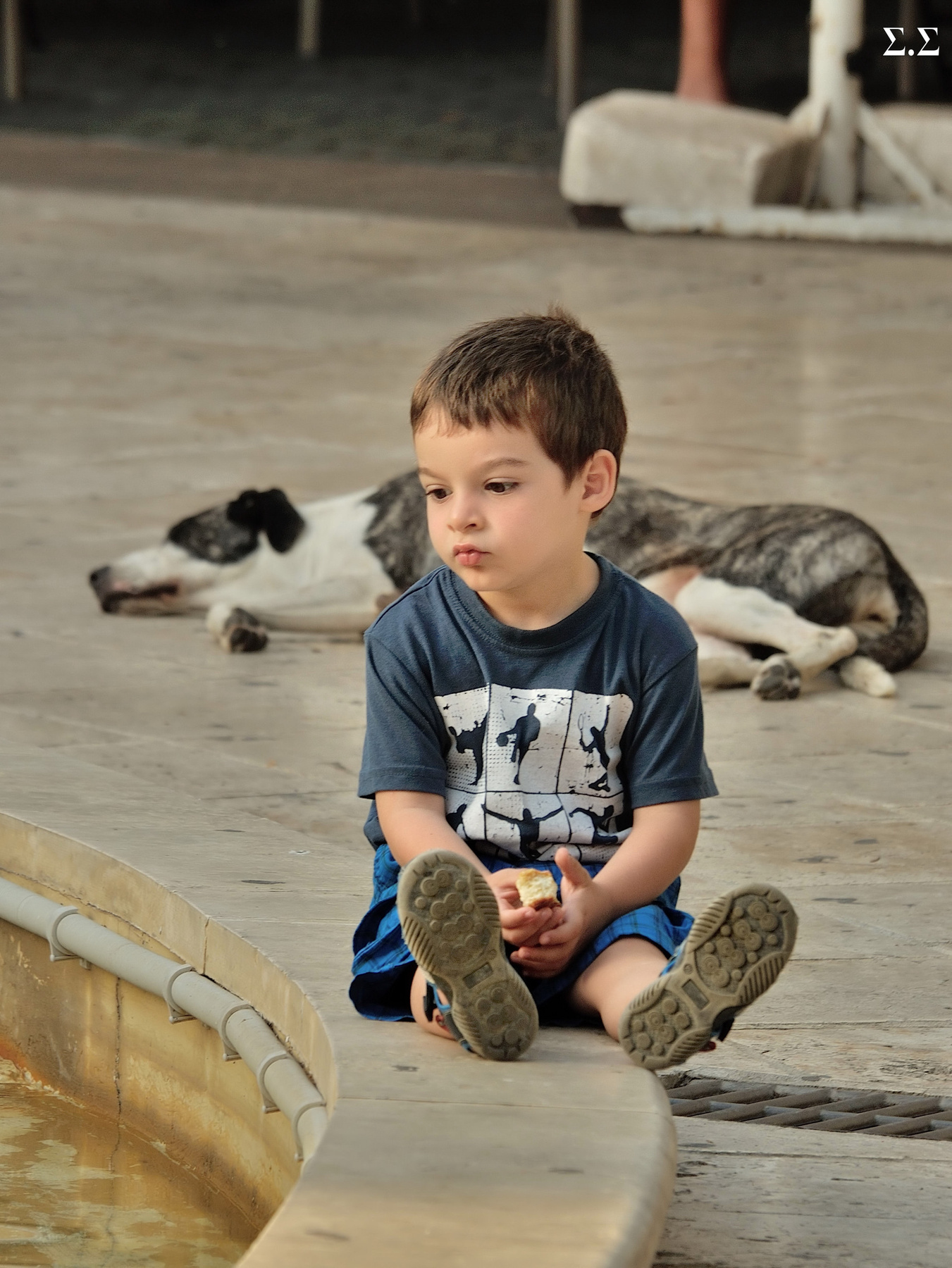 THE BOY WHO WATCHES THE DRY FOUNTAIN 