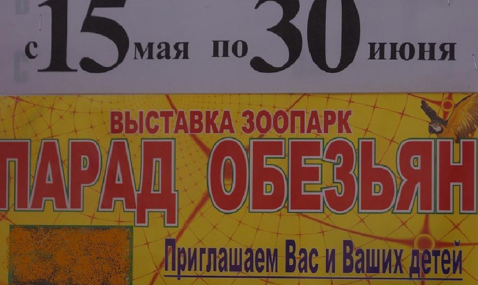 На других посмотреть и себя показать. 