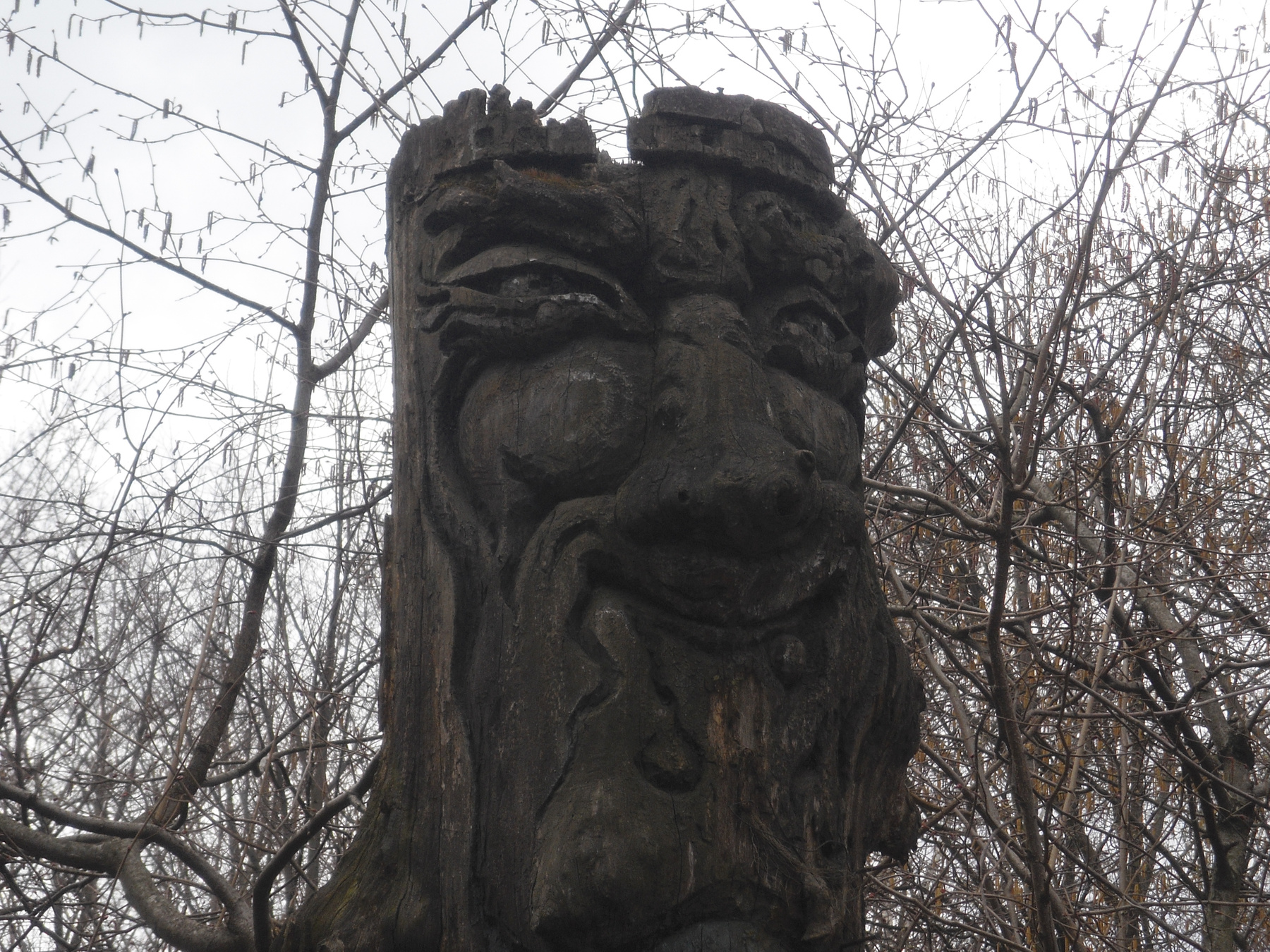 Лесовик лесовик, дерево,небо,кусты