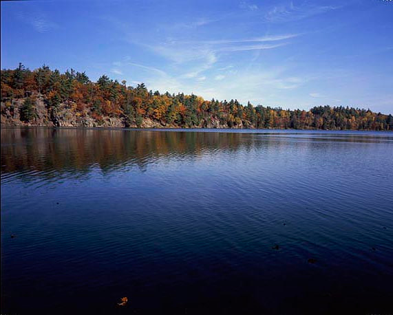 pink lake 