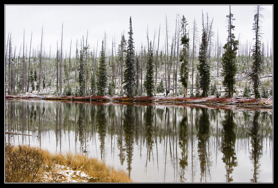 Первый снег Yellowstone