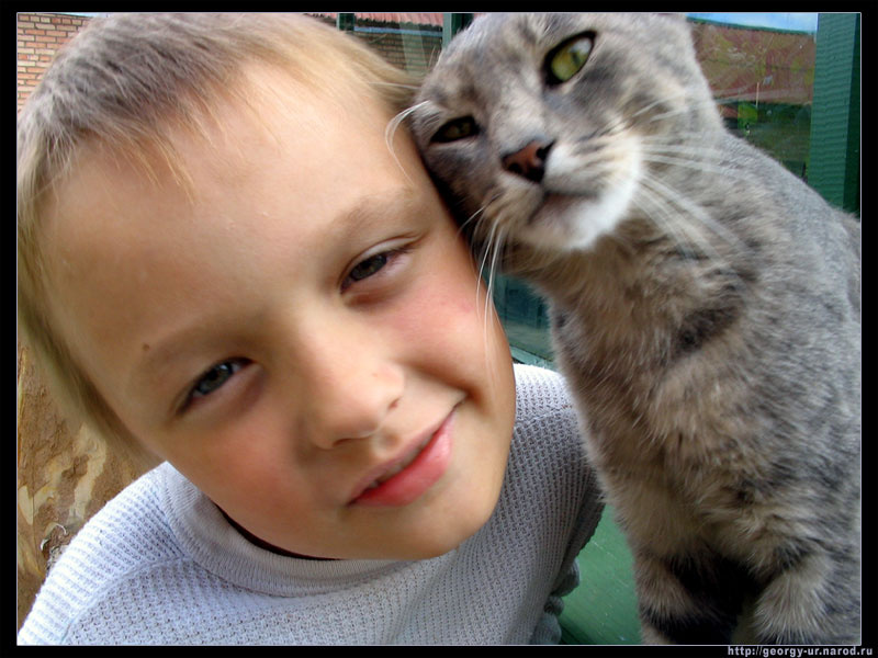 дружба кошка, мальчик