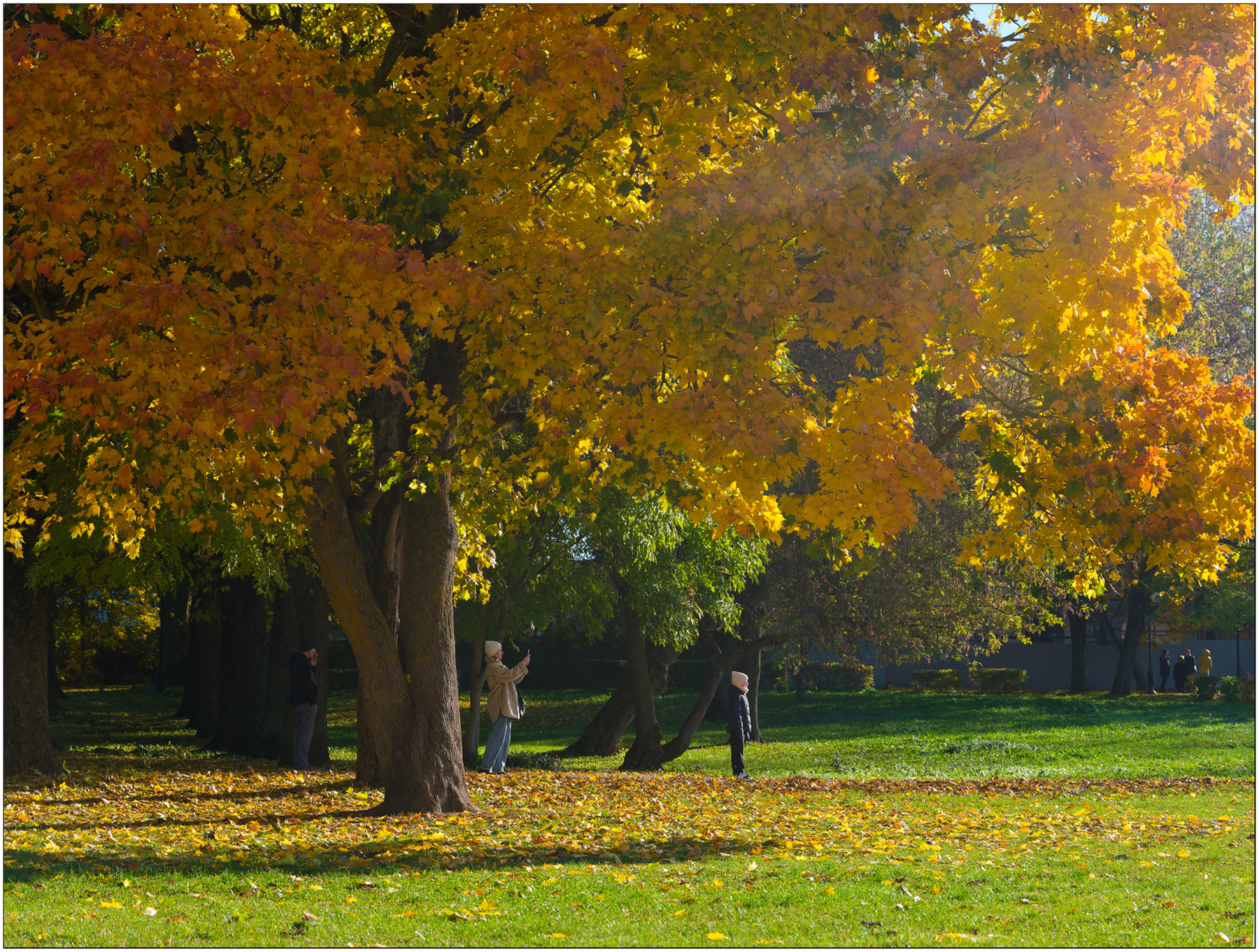 *** 