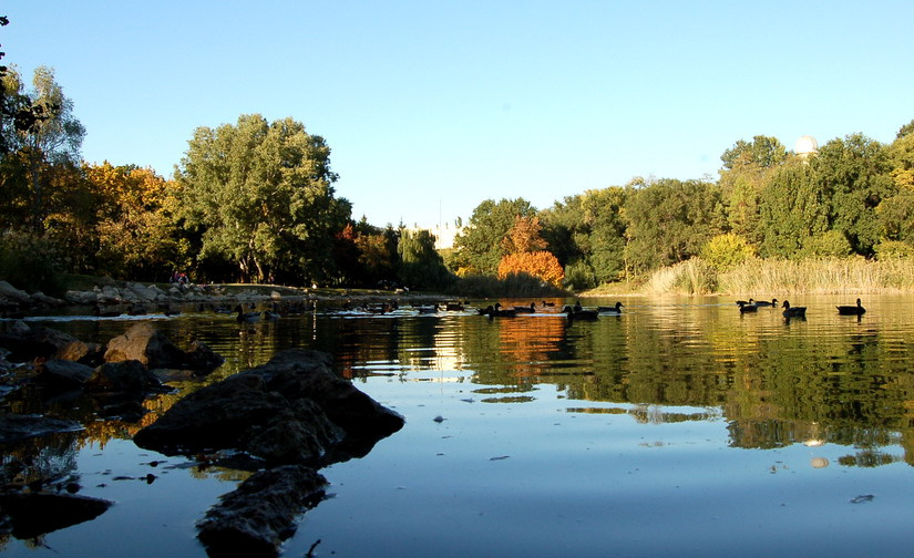 водоём в парке озеро, парк, осень