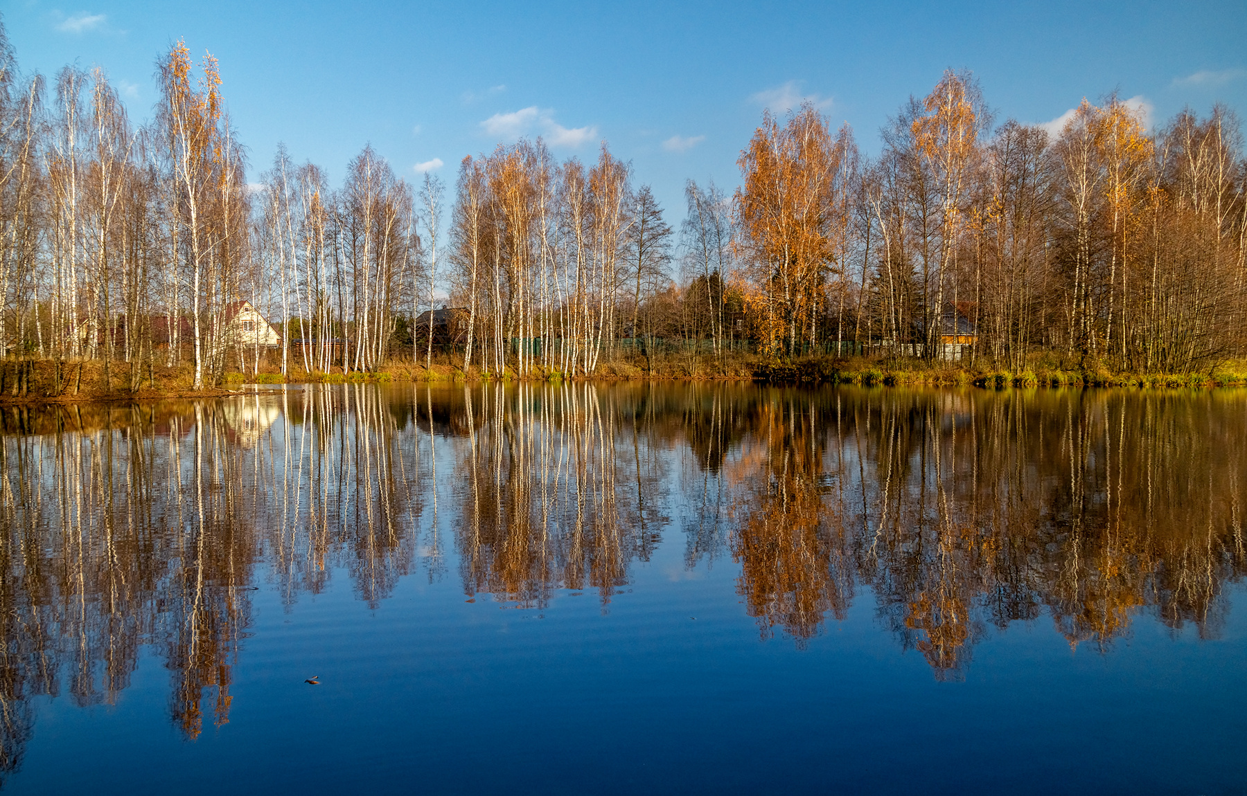 Осень не сдаётся 7 