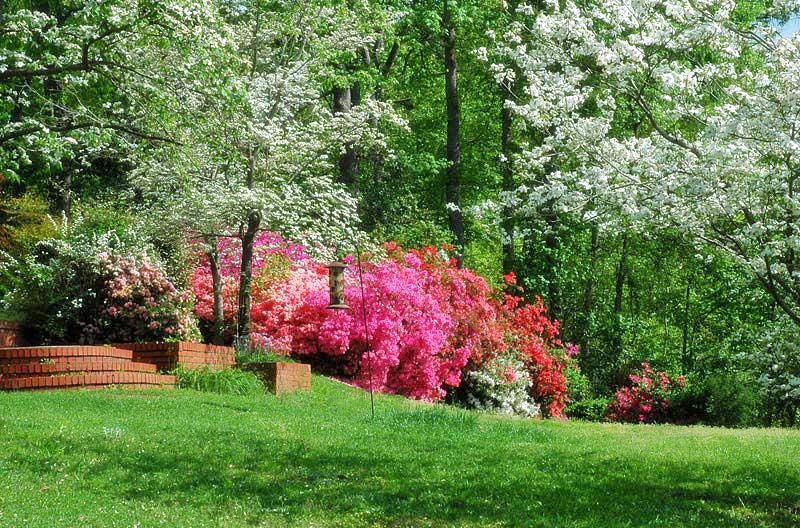 Little house: spring 2 