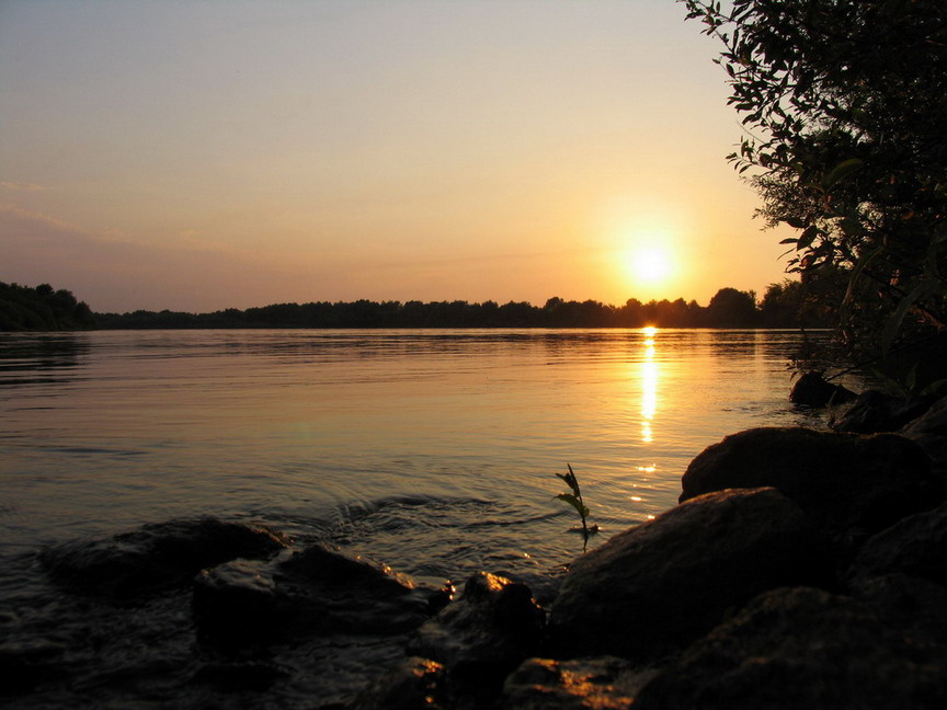Ока река природа