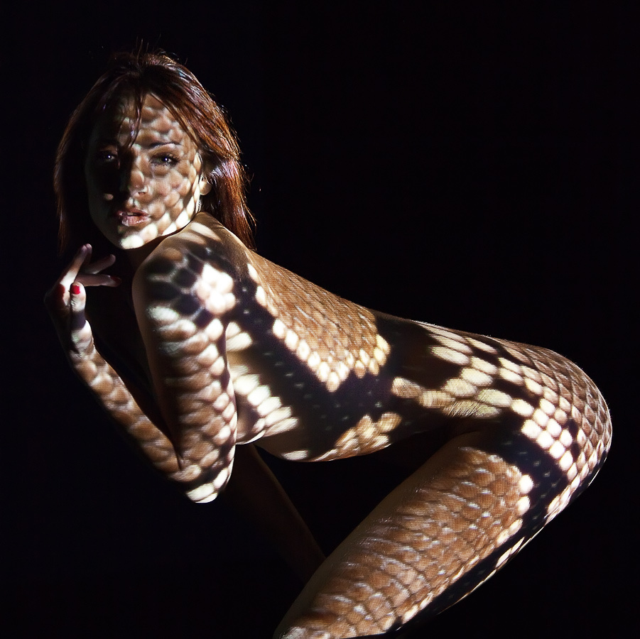 Lady snake змея видеопроектор ню студия