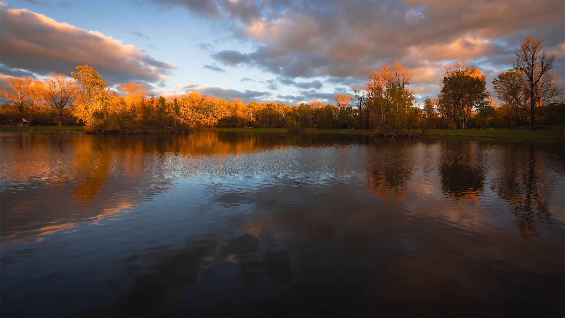 Autumn 