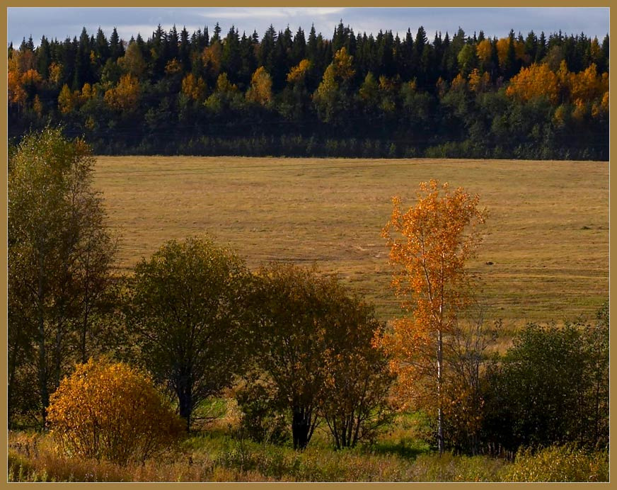 Время сочинять стихи 