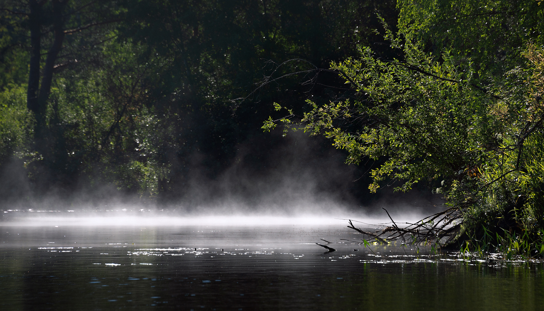 Smoke on the water 