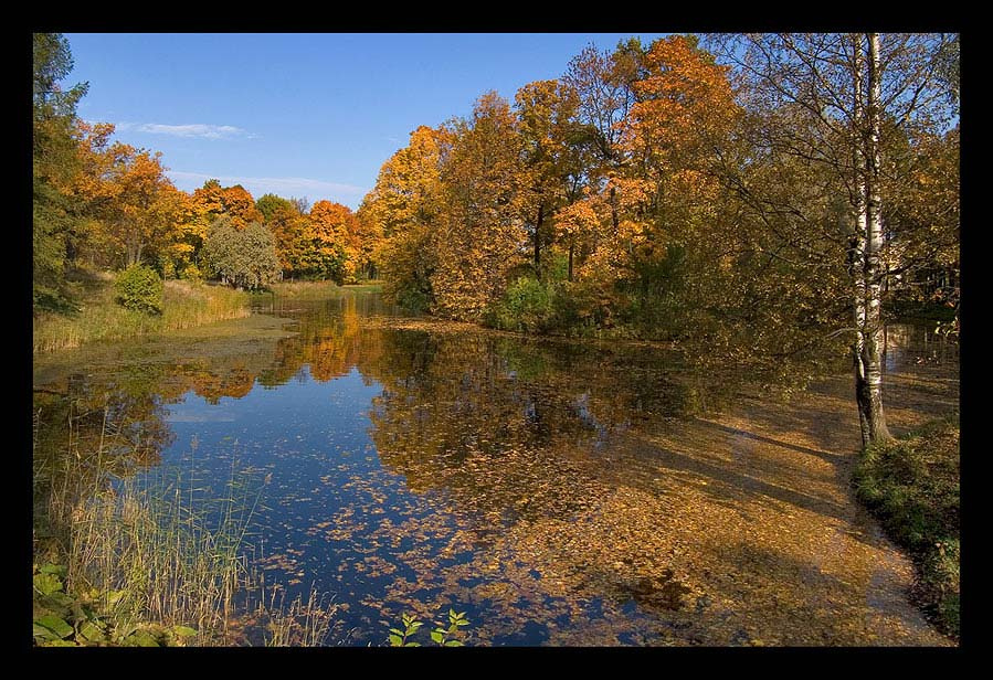 осенние мотивы IV 