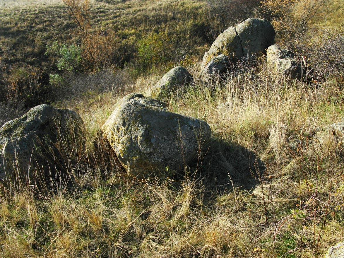 Гранитные валуны Геосайт, река Вороная, Днепр, гранит, докембрий