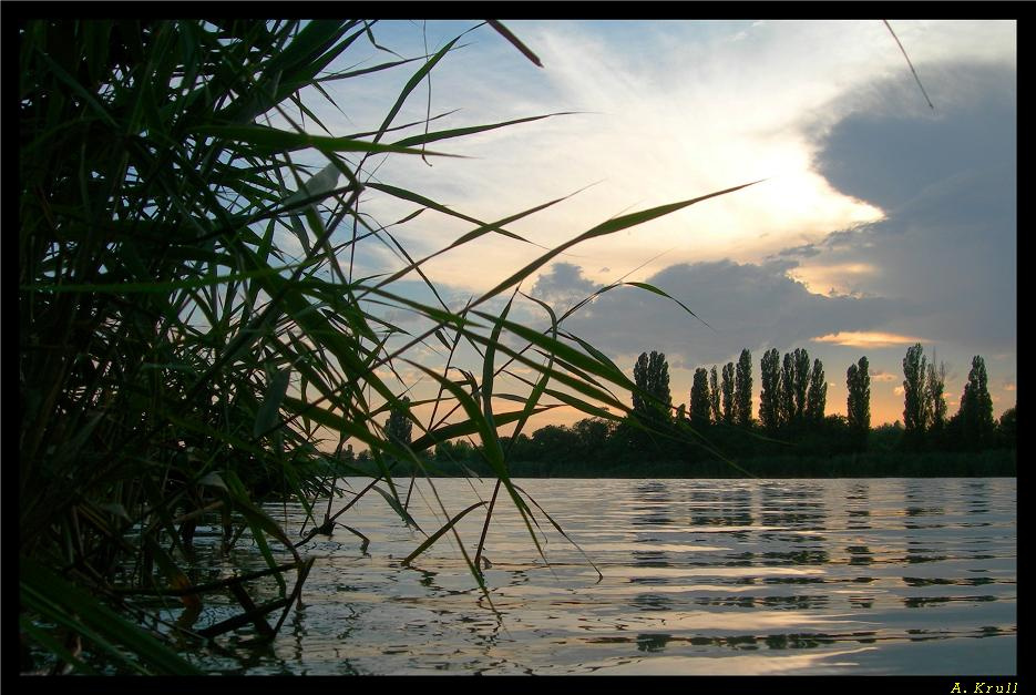 Летний вечер на озере. Вечер, озеро, Кубань, Краснодар, закат