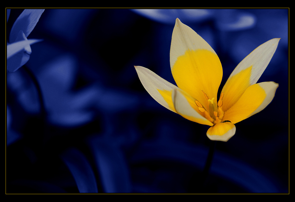 типа в моём стиле! 