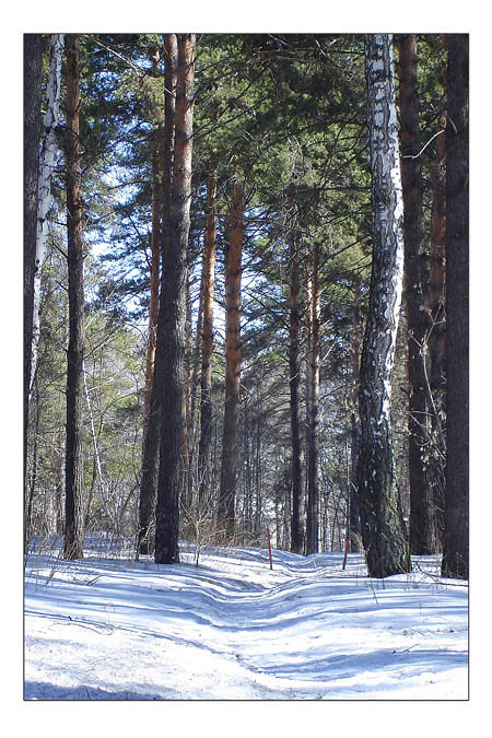 siberia 