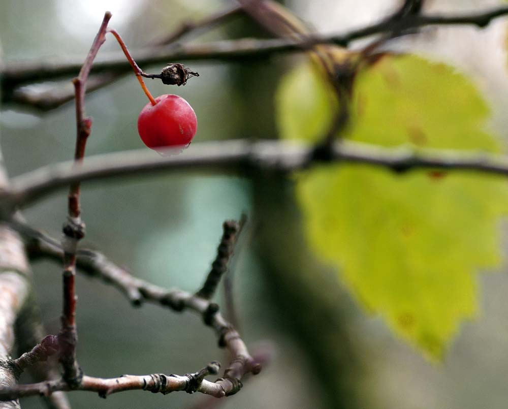 alone in October 
