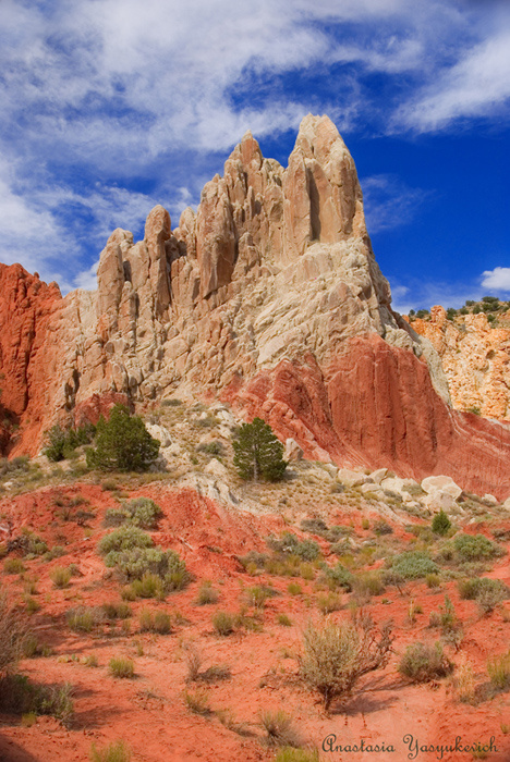 Cockscomb, Cottonwood Canyon Road Cockscomb, Cottonwood Canyon Road, Arizona, US, anastaworld