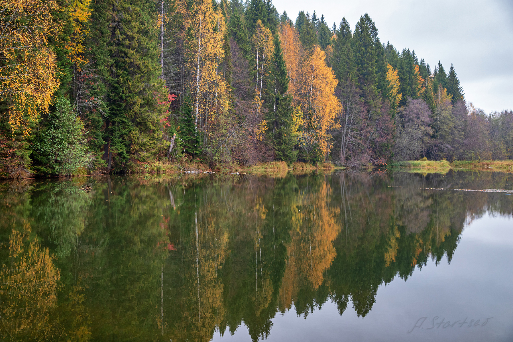 Краски осени 