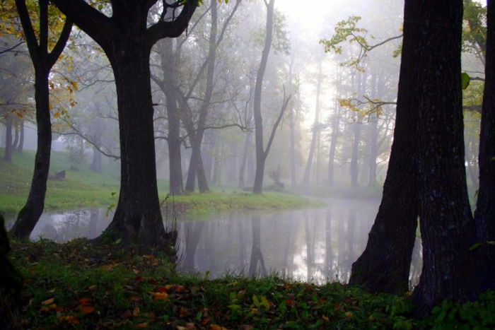 ... morning silence 