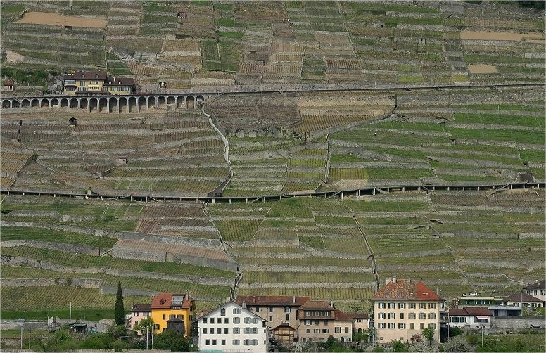 .. Spring Time  in  Switzerland .. 