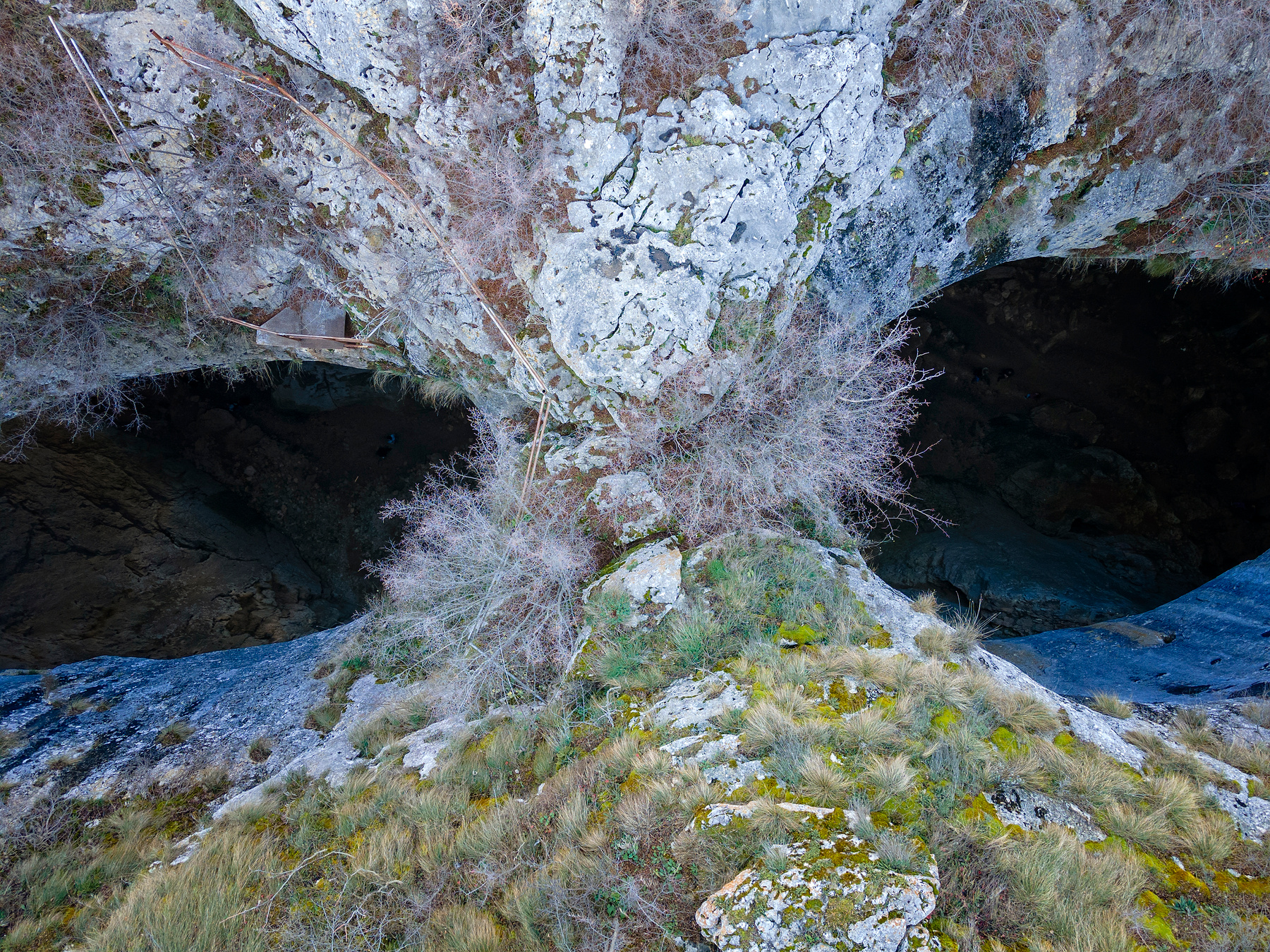 Глаза Карлуково