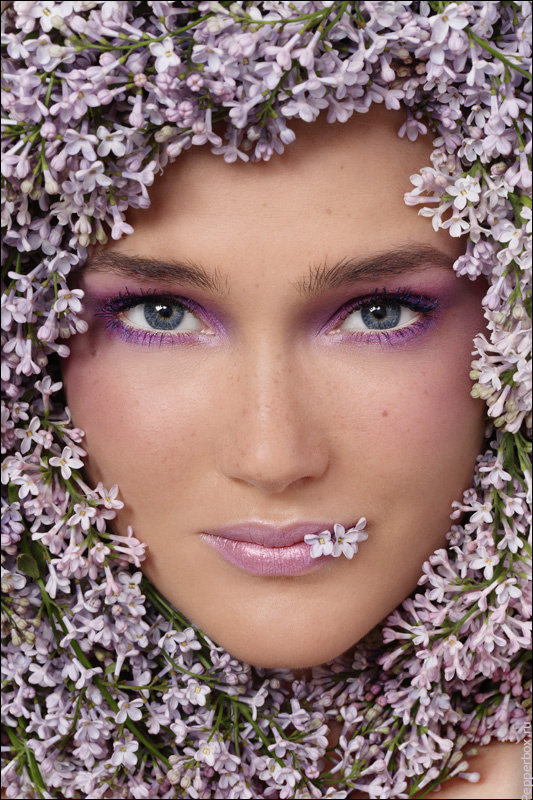 Wild Lilac Цветы сирень