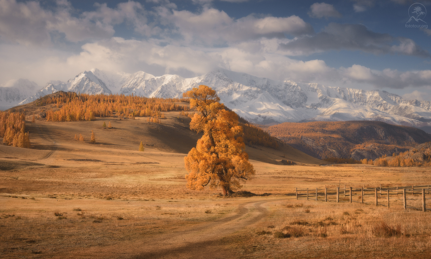 «Апельсиновая осень» алтай курай