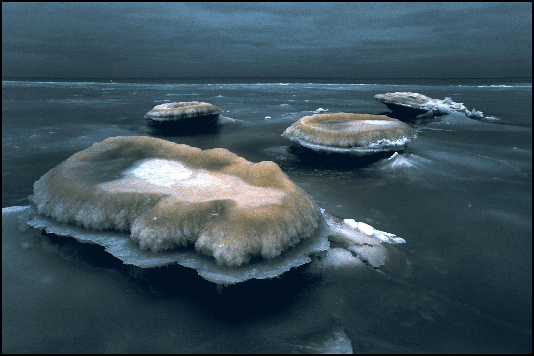 *** море.лед.23.01.2026