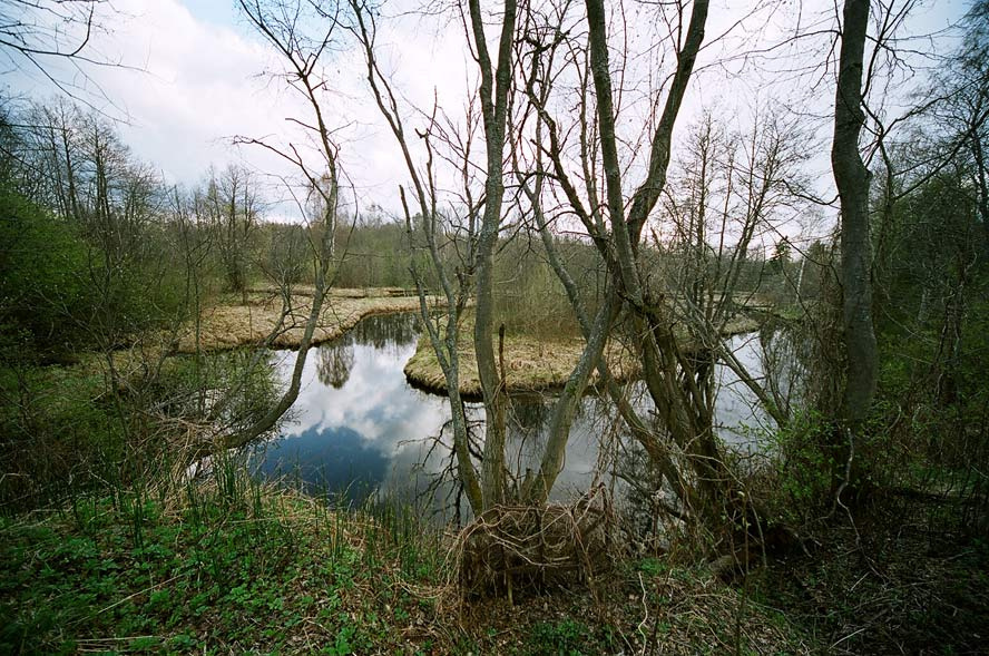 речка 