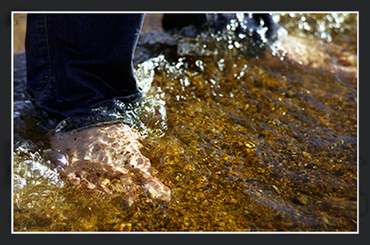 Мозаика ног Вода природа песок камни