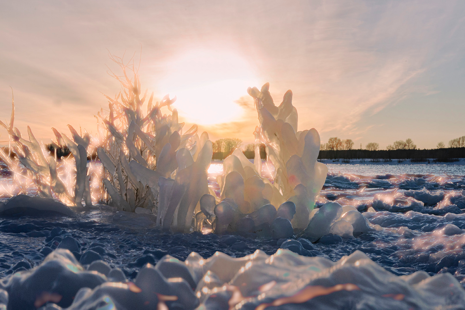 переливы светописи ветка лед вода