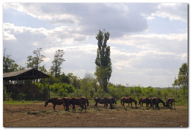 Ати Карађорђево