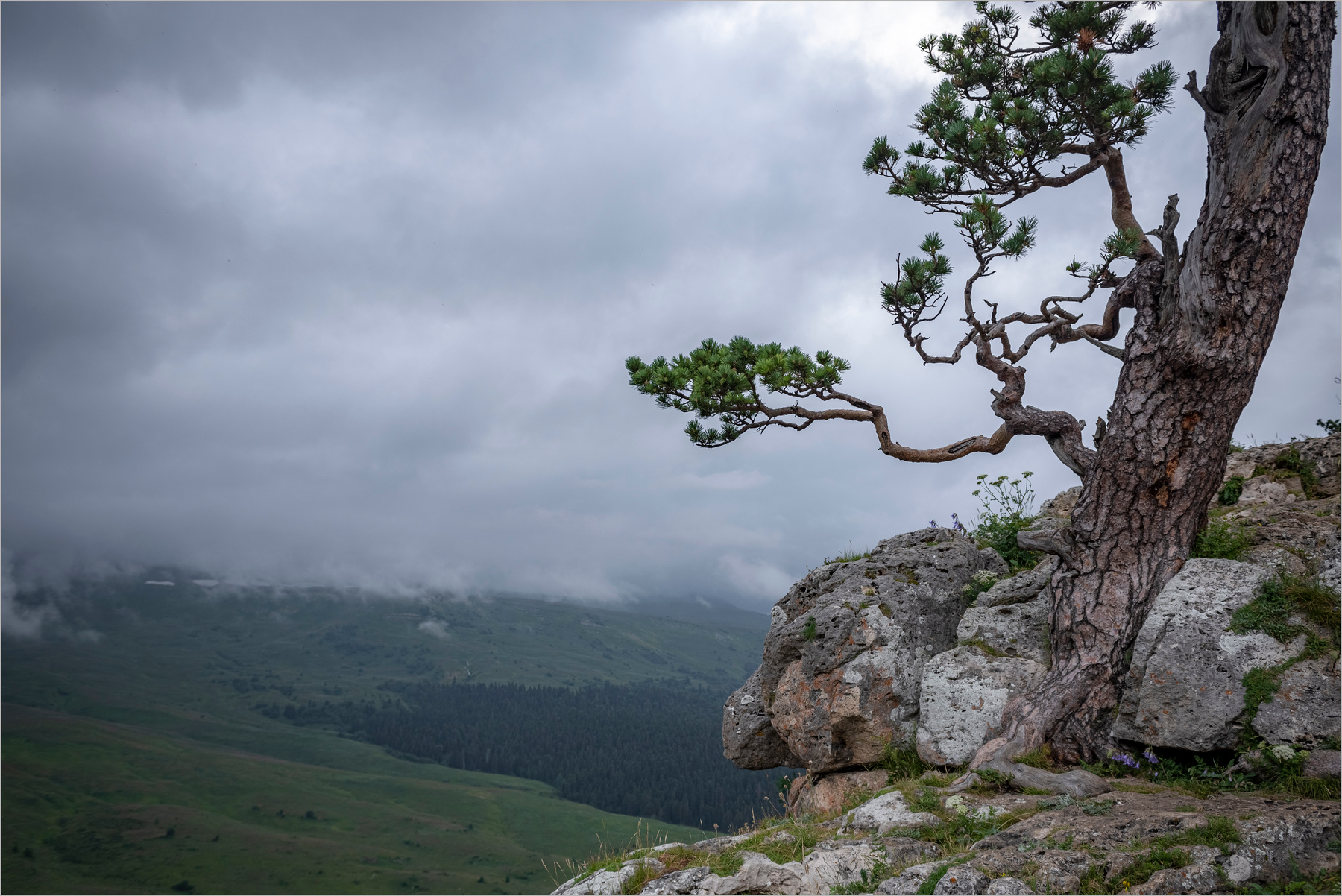 Выше облаков природа горы
