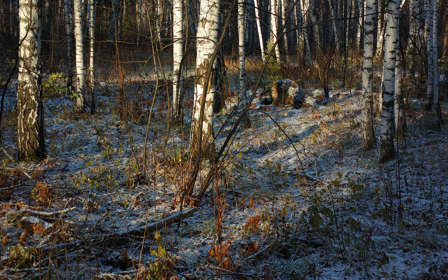 Академгородок Первый снег Первый снег, Nokia 808