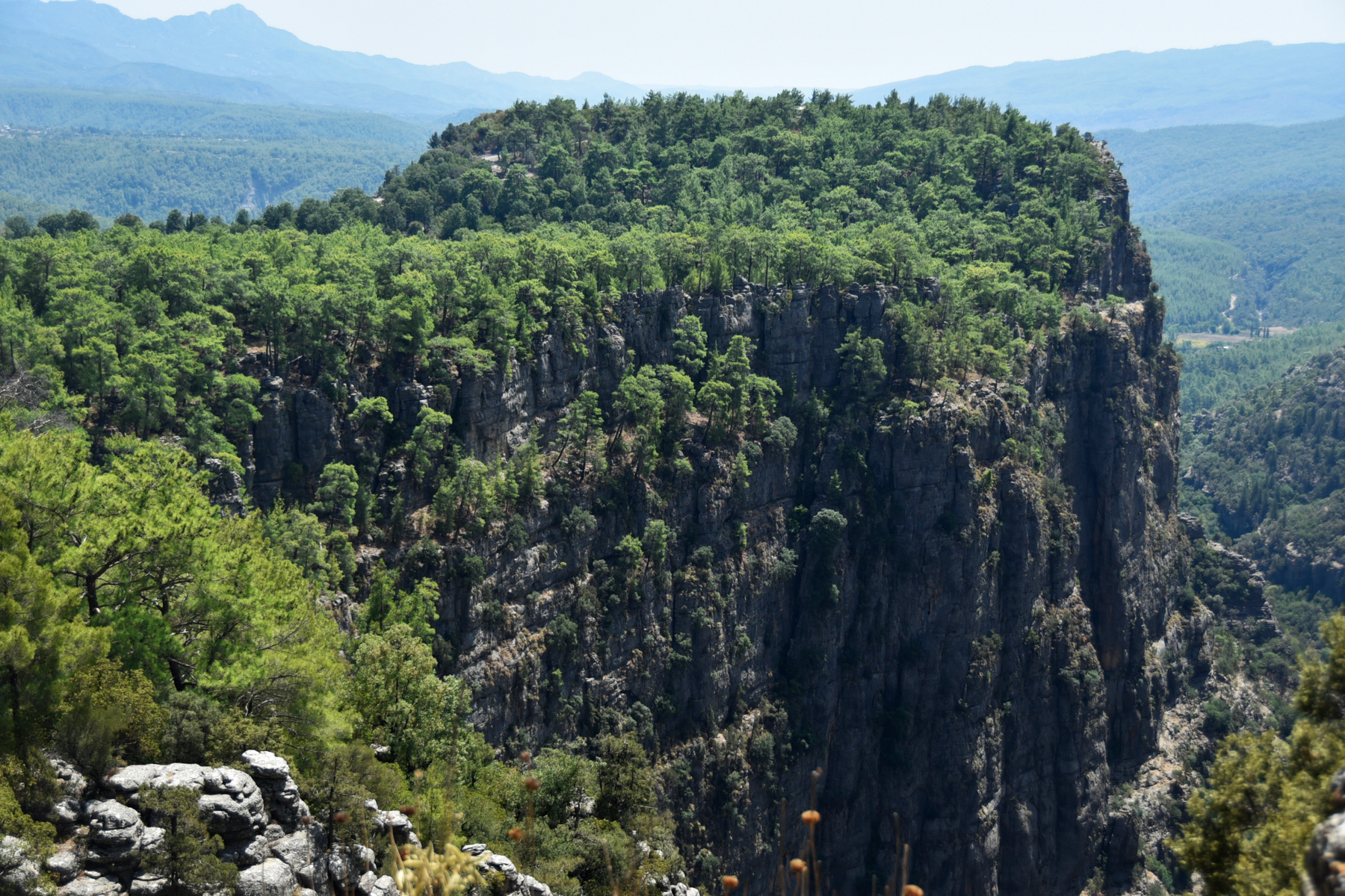 tazi canyon 