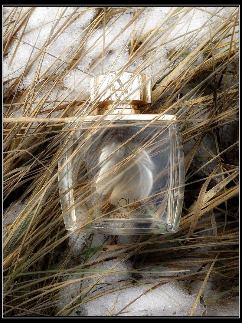 Lalique Equus Pour Homme 