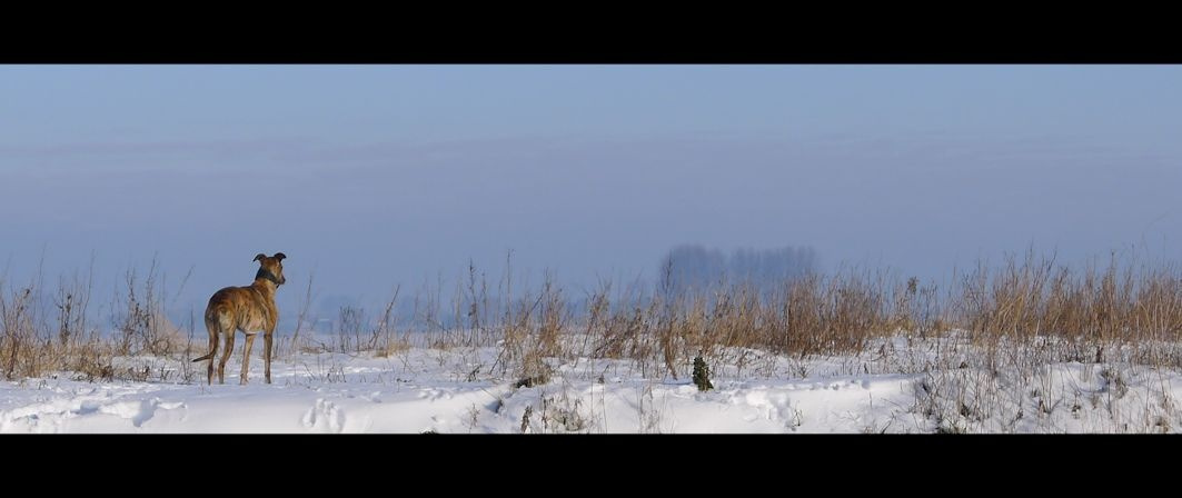 24-januari-2013 Winter 2013
