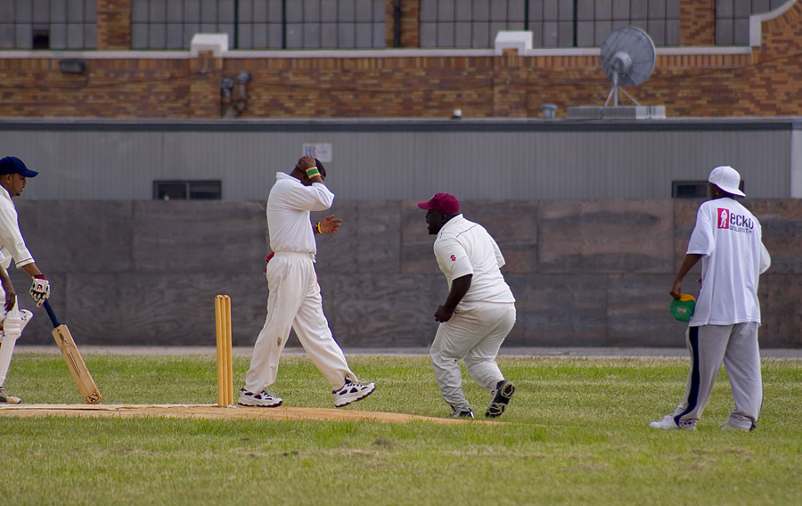 Cricket 